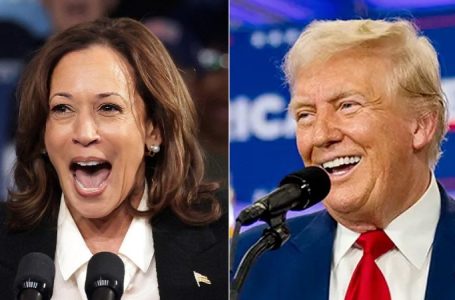 Fox News Poll: Trump ahead of Harris by 2 points nationally