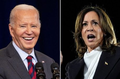 The fatal flaw in Kamala Harris’ speech, marred by Biden’s ‘garbage’ comment