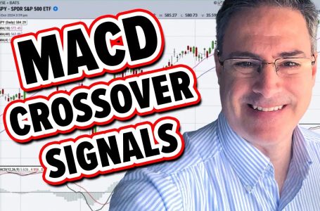 Why the MACD Crossover Signal is SO Important