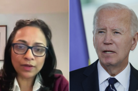 Immigrant business owner blasts ‘anti-science’ Biden admin push that crippled her sales: ‘Devastating’