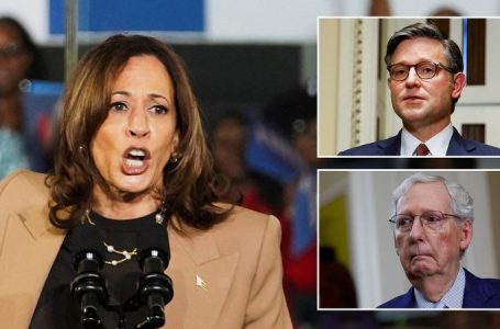 Harris silent after GOP leaders say ‘fascist’ rhetoric ‘risks inviting’ another Trump assassination attempt