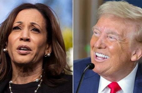 Harris claims Trump win would be ‘catastrophic’ for Social Security, but first term tells different tale