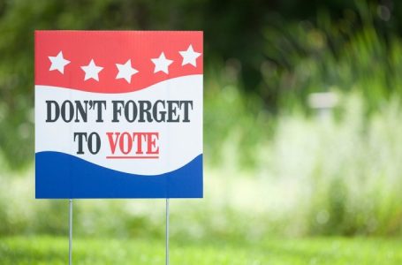 Everything you need to throw an election party after you get out and vote