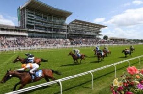 Horse Racing and Care – How Big Is the UK Market?