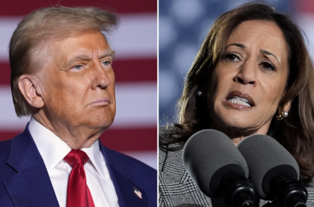 Harris slams ‘offensive’ Trump remark on protecting women from migrant crime