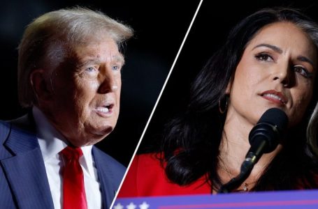 Tulsi Gabbard, former Democratic candidate for president, joins Republican party at Trump rally