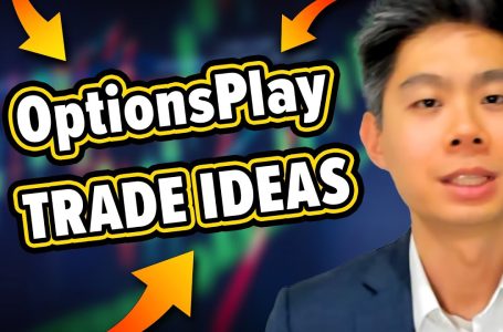 OptionsPlay: Macro Market Outlook and Options Strategies