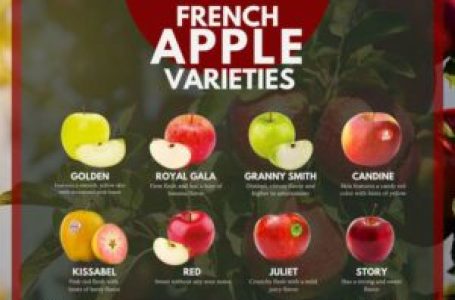 Bonjour French Food: An introduction of French apples and celebration of culinary innovation