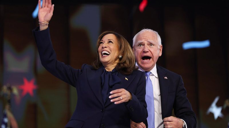  ‘Doomed’: Experts say this crucial campaign decision led to VP Harris’ ‘disastrous’ defeat