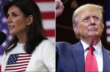 Nikki Haley responds after Trump says she won’t be part of new cabinet, says she wishes him ‘great success’