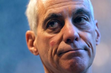 Rahm Emanuel mulling bid to steer DNC in wake of disastrous election night for Dems