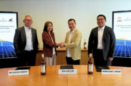 MSpectrum, Emperador partner for solar facility