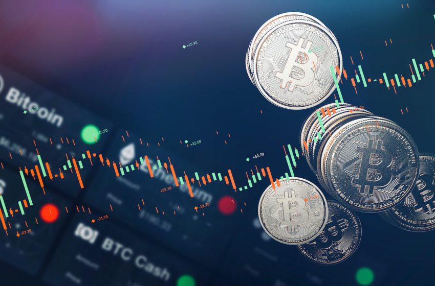  The SCTR Report: What Coinbase’s Dramatic Price Surge Means For Your Portfolio