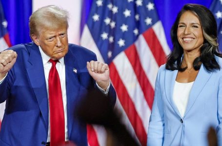 Democrats trash Tulsi Gabbard after Trump taps her for DNI post