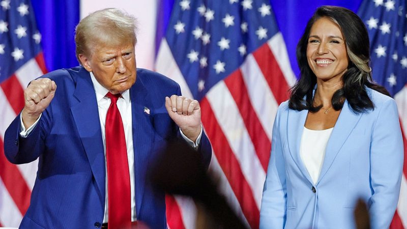  Democrats trash Tulsi Gabbard after Trump taps her for DNI post