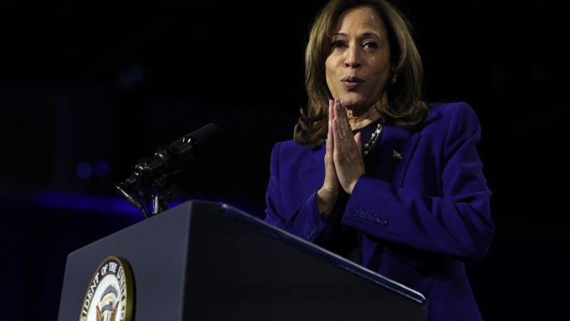  Democrats have an enormous dilemma if Kamala Harris loses