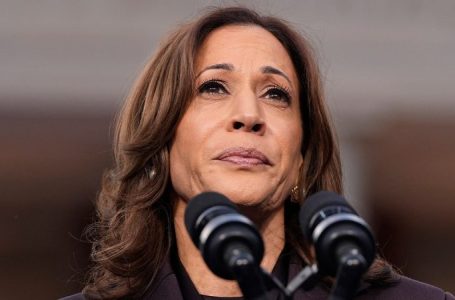 Harris campaign officials explain what went wrong –  and what Trump did right: report