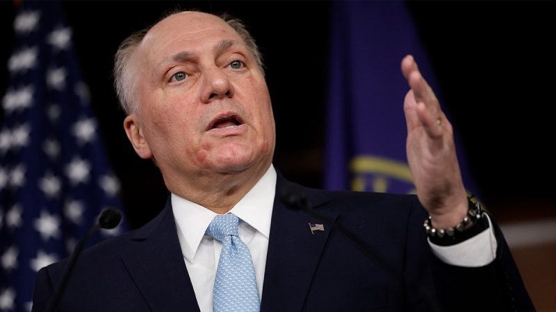  ‘Down to the wire’: Steve Scalise predicts House control may be decided today