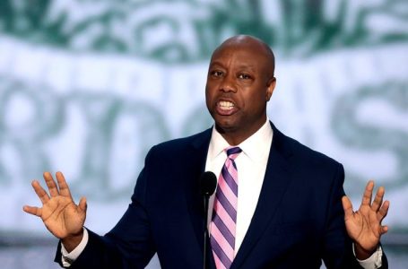 Trump ally Sen. Tim Scott’s new mission to help incoming president: ‘increase the majority’