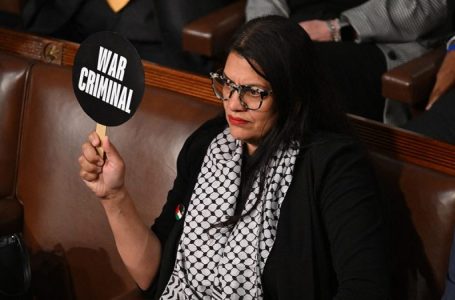 Rashida Tlaib refuses to endorse Kamala Harris as Gaza war takes toll on Dem voter base