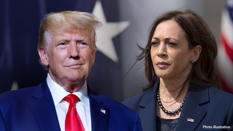  Trump teases he’d bail out Harris campaign debts for sake of ‘unity’ in latest troll