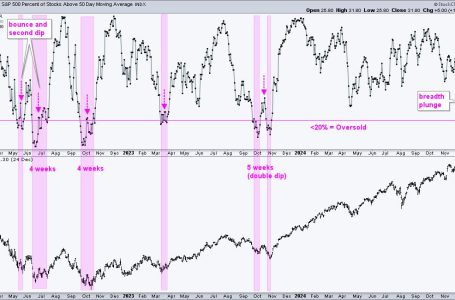 Is this Bounce a Robust Rebound or a Dead-Cat Bounce?