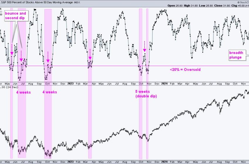  Is this Bounce a Robust Rebound or a Dead-Cat Bounce?