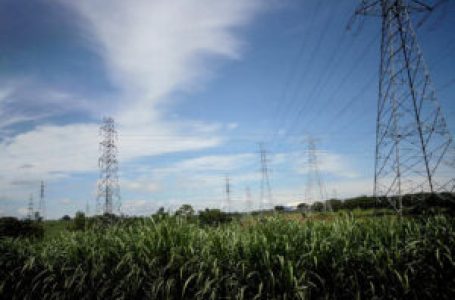 ERC to complete fourth rate reset for grid operator by next month