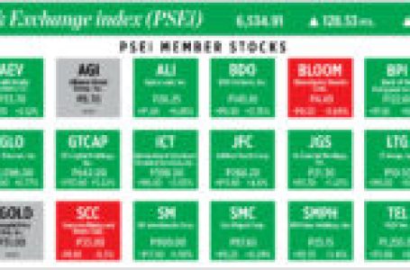 How PSEi member stocks performed — December 23, 2024