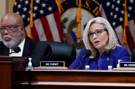 Biden awards Liz Cheney, Jan 6 committee chairman a medal: US ‘is better because of their dedication’